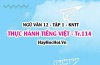 Soạn bài Thực hành tiếng Việt trang 114 Ngữ văn lớp 12 tập 1 Kết nối tri thức